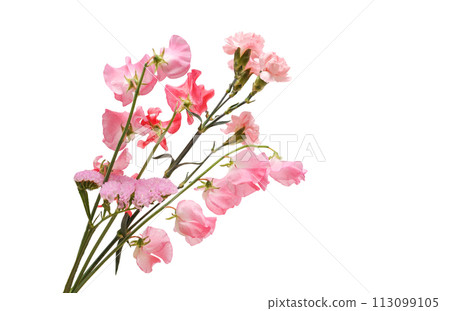 Various flower bouquets Various flower bouquets 113099105