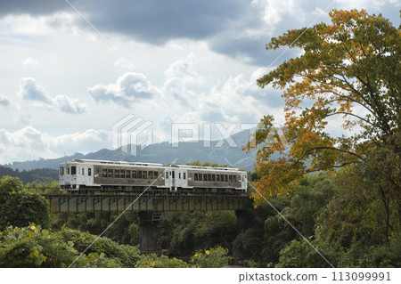 日南線特急「海幸山幸號」穿過落滿紅葉的大樹和廣戶川上的鐵路橋。 日南線特急「海幸山幸號」穿過落滿紅葉的大樹和廣戶川上的鐵路橋。 113099991