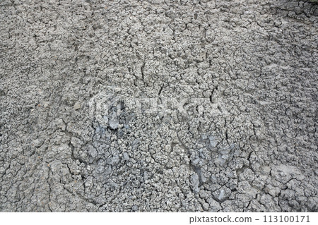 Abstract texture of cracked dry white dirt 113100171