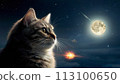 full moon, starry sky and cat 113100650
