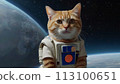 A cat wearing a space suit floating in space 113100651