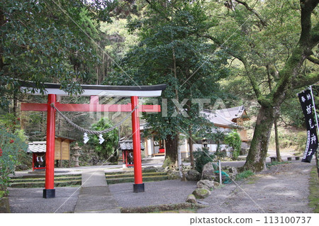 鹿兒島縣霧島市的蝦美地神社和楠木 113100737