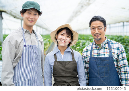 Producers working in greenhouses Producers working in greenhouses 113100943