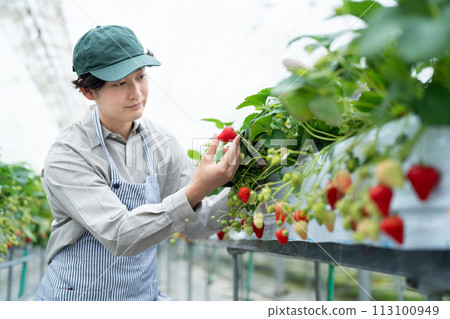 Smart agriculture 113100949