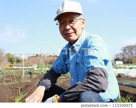 Senior working in the field 113100975