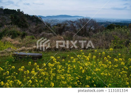 Scenery of Kawamura Castle in Yamakita Town, Kanagawa Prefecture 113101334