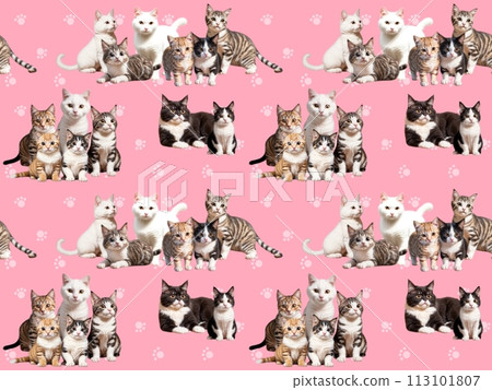 Cat seamless pattern G-3' 113101807