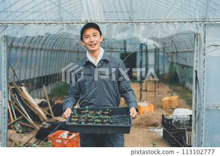greenhouse, gents, male 113102777