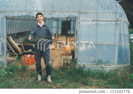 greenhouse, gents, male 113102778