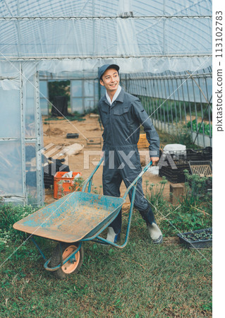 agricultureh, monocycle, wheelbarrow 113102783