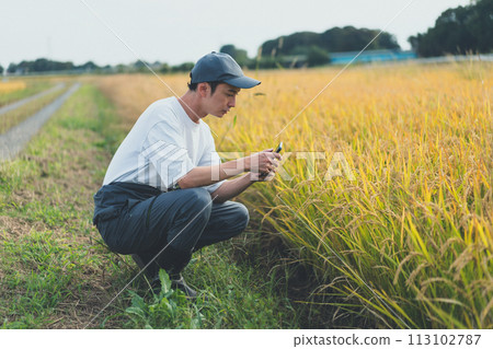 farmer, farmhouse, smartphone 113102787