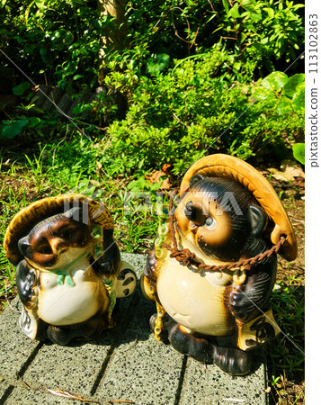 Two Shigaraki-yaki raccoon dogs are happily chatting along the way. 113102863