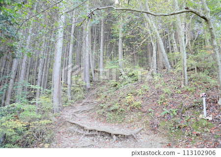 我們去岩湯山吧 我們去岩湯山吧 113102906