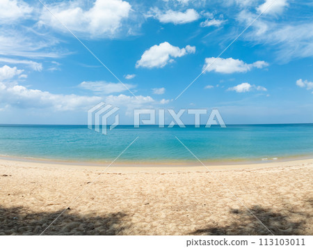 Amazing Top view sea beach landscape background,Summer sea waves crashing on sandy shore seascape background,Wide angle lens ocean nature background Amazing Top view sea beach landscape background,Summer sea waves crashing on sandy shore seascape background,Wide angle lens ocean nature background 113103011