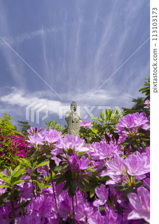 Kannon's prayer 113103173