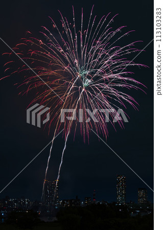 秋季煙火(川口花火大會) 秋季煙火(川口花火大會) 113103283