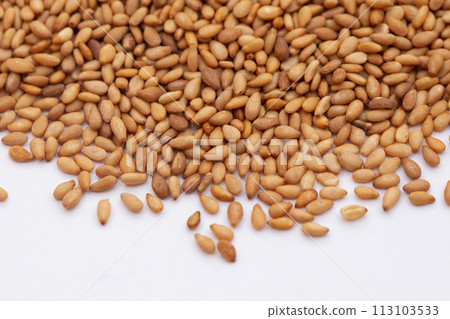 Golden sesame (roasted golden sesame) 113103533