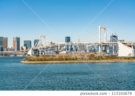 [Tokyo] Rainbow Bridge seen from Odaiba on a clear day 113103679