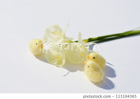 Small cream-colored wild daffodils and felt chicks 113104365