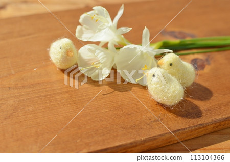 Small cream-colored wild daffodils and felt chicks Small cream-colored wild daffodils and felt chicks 113104366