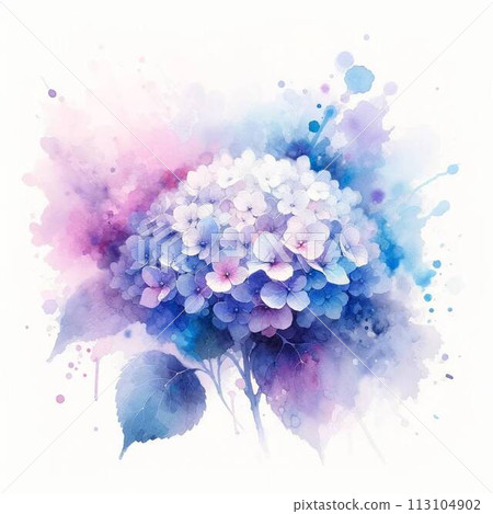 藍色和紫色繡球花水彩畫 繡球花水彩畫 113104902
