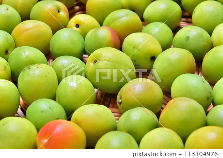 lots of plums lots of plums 113104976