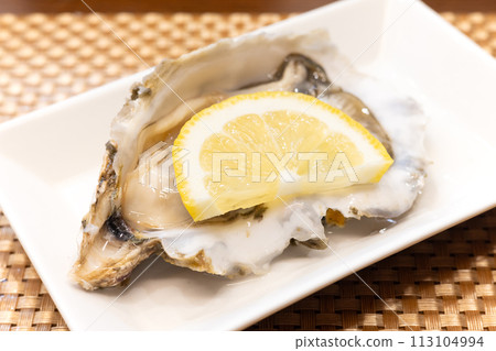 Delicious raw oysters from Akkeshi, Hokkaido 113104994