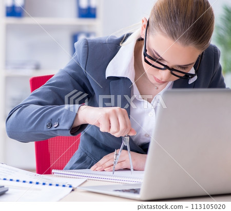 Woman architect working on the project Woman architect working on the project 113105020