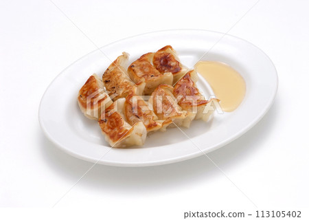 盤子裡的煎餃/看起來很美味的煎餃 113105402