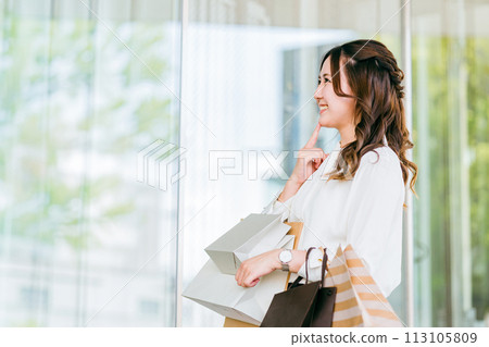 商業女性和浪費金錢、浪費錢去購物、購物和銷售的女性（物慾、想要和浪費） 113105809