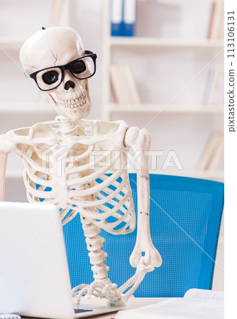 Skeleton businessman working in the office 113106131