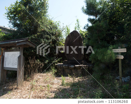 岩城之唯松 岩城之唯松 113106268