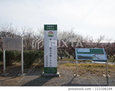 Southern plum forest 113106294