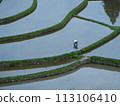 Aragi Island rice planting 113106410