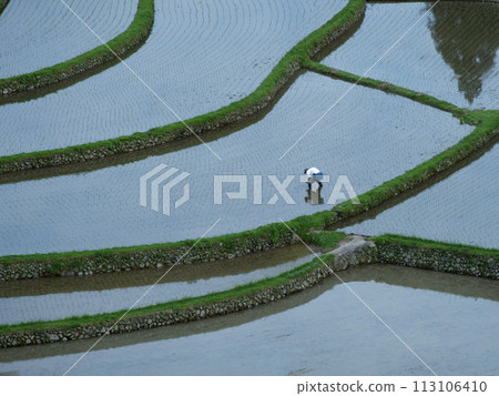 Aragi Island rice planting Aragi Island rice planting 113106410
