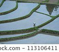 Aragi Island rice planting 113106411