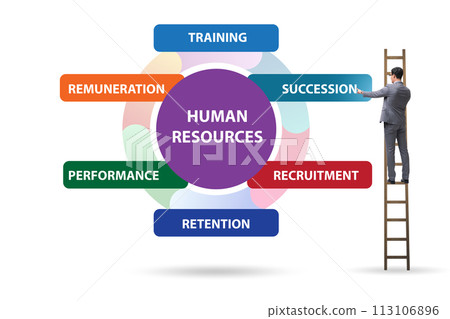 Human resources concept as important business element 113106896