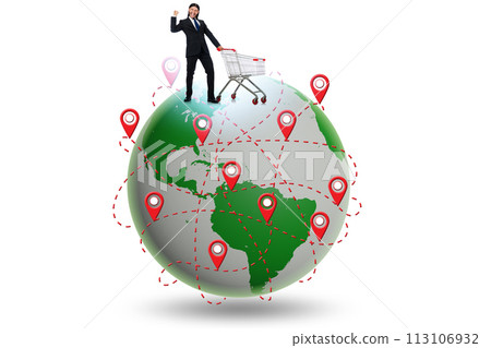 Concept of global shopping with globe and shopper 113106932