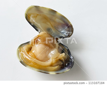 【白底】春天的味道-開蓋新鮮捕獲的細辛貝 113107184