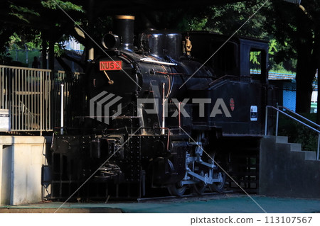 Locomotive NUS5 [At Chiba Park, Chiba City, Chiba Prefecture] 113107567