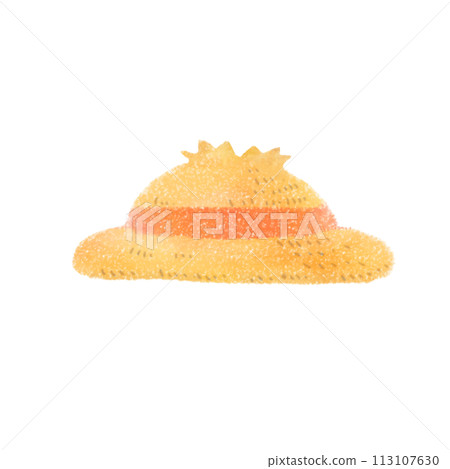 Cute straw hat illustration 113107630