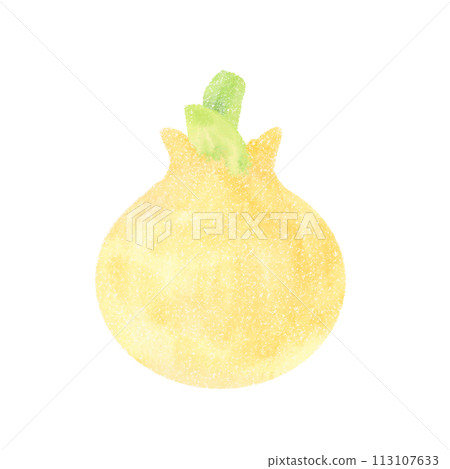 可愛的洋蔥的插圖 可愛的洋蔥的插圖 113107633