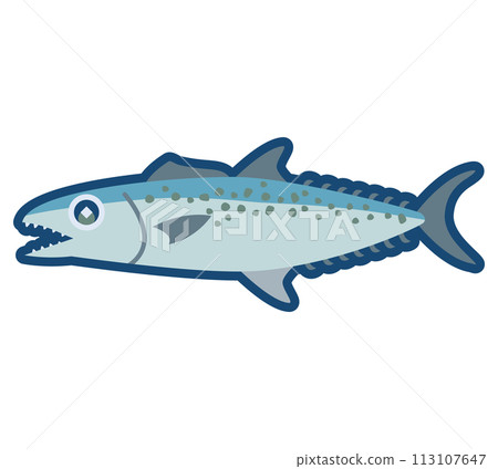Cute Spanish mackerel illustration Cute Spanish mackerel illustration 113107647