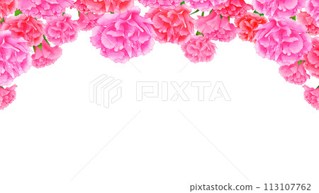 Gorgeous carnation frame Mother's Day White background Transparent 16:9 113107762
