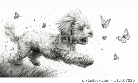 玩具貴賓犬與蝴蝶玩耍:鉛筆畫 玩具貴賓犬與蝴蝶玩耍:鉛筆畫 113107820