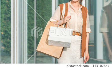 Young woman shopping, shopping, shopping sprees, wasting money 113107837