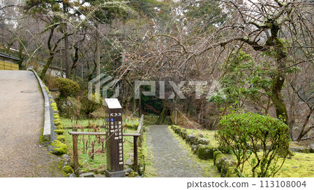 Hasedera temple grounds, path to two cedar trees, Nara Prefecture Hasedera temple grounds, path to two cedar trees, Nara Prefecture 113108004
