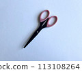 old scissors 113108264
