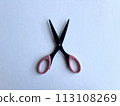 old scissors 113108269