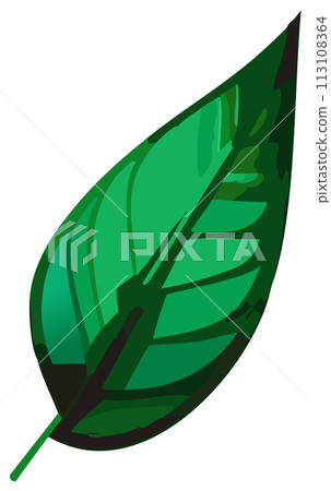 綠葉的向量圖 綠葉的向量圖 113108364